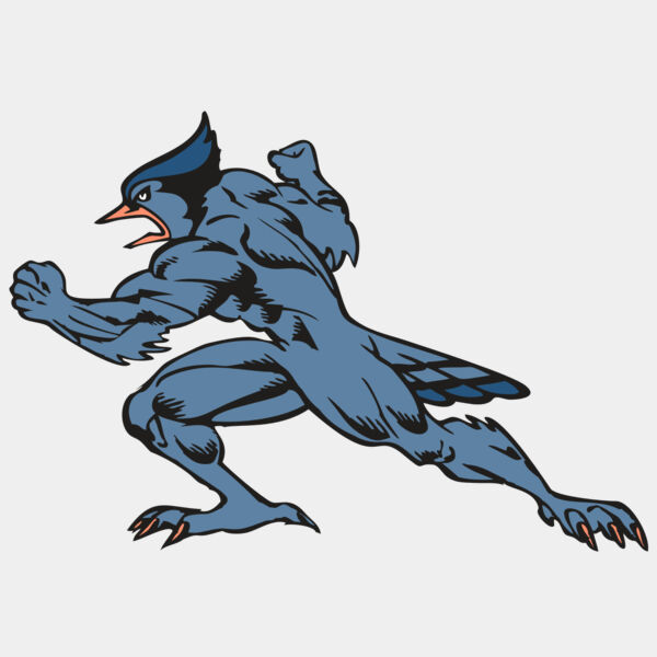 BAW BLUEJAY 15 RC Thumbnail