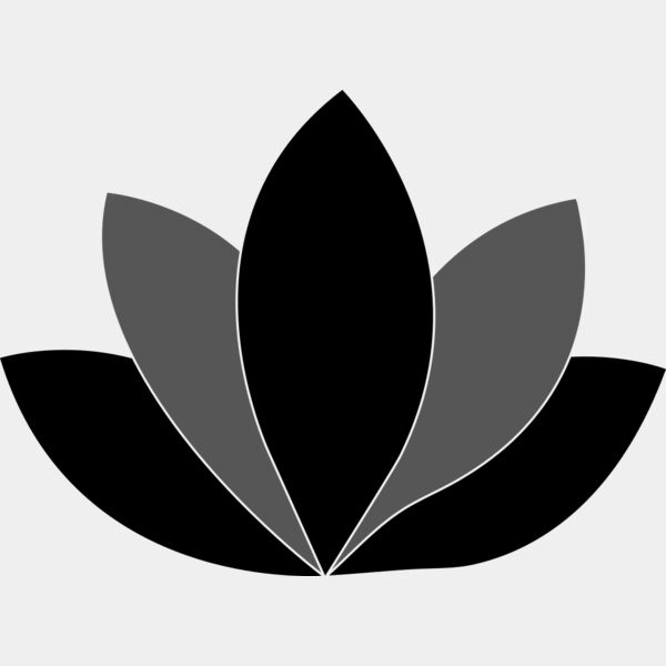 Lotus Thumbnail