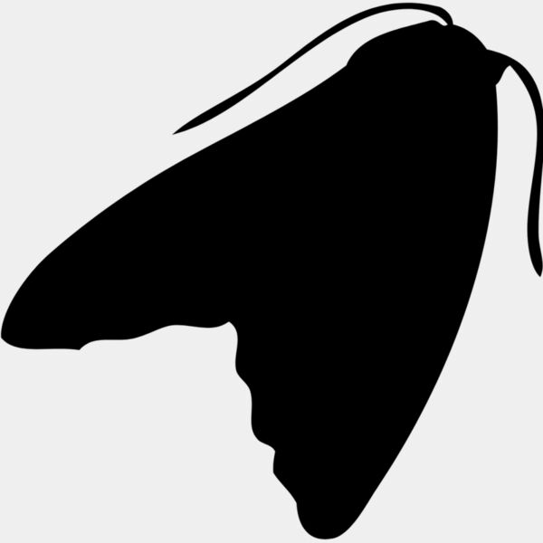 Moth Silhouette 4 Thumbnail