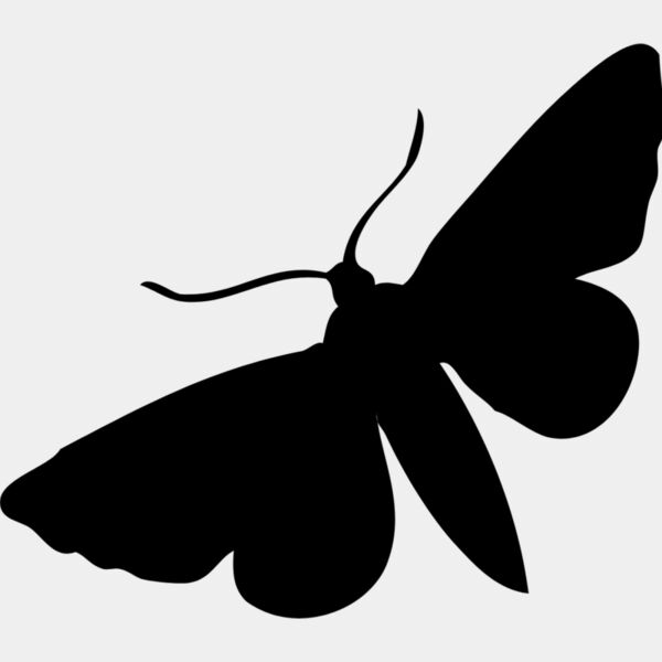 Moth Silhouette 1 Thumbnail