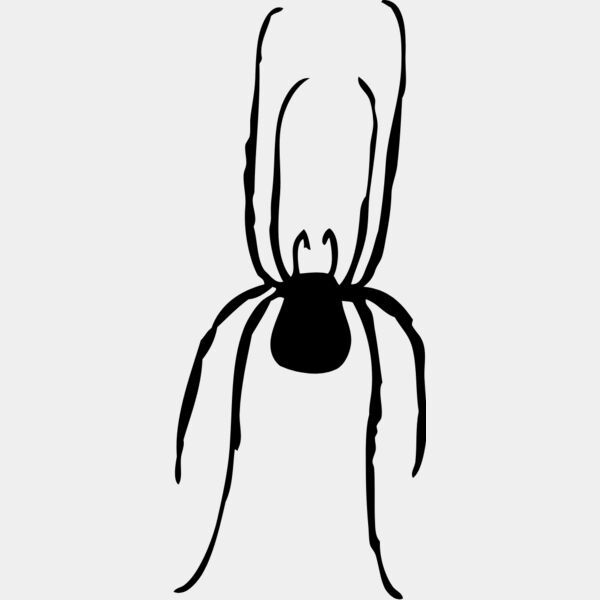 Spider Silhouette 3 Thumbnail