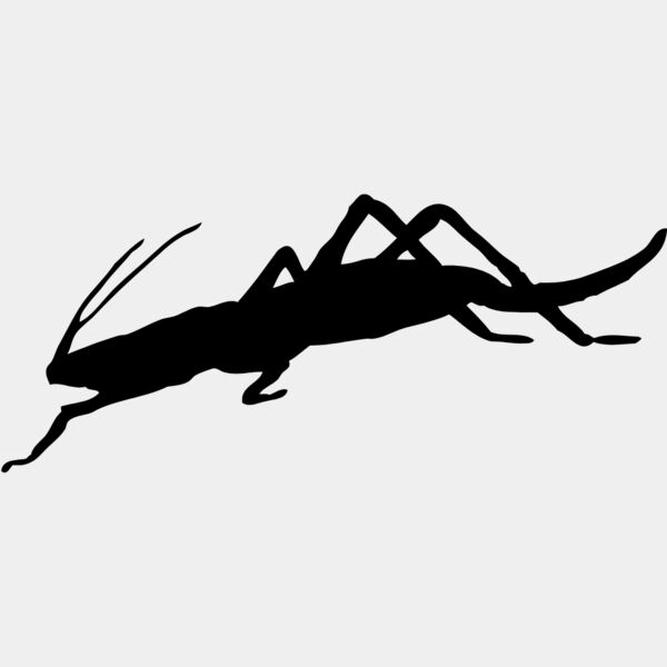 Bug Silhouette 5 Thumbnail
